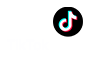 tiktok 2025